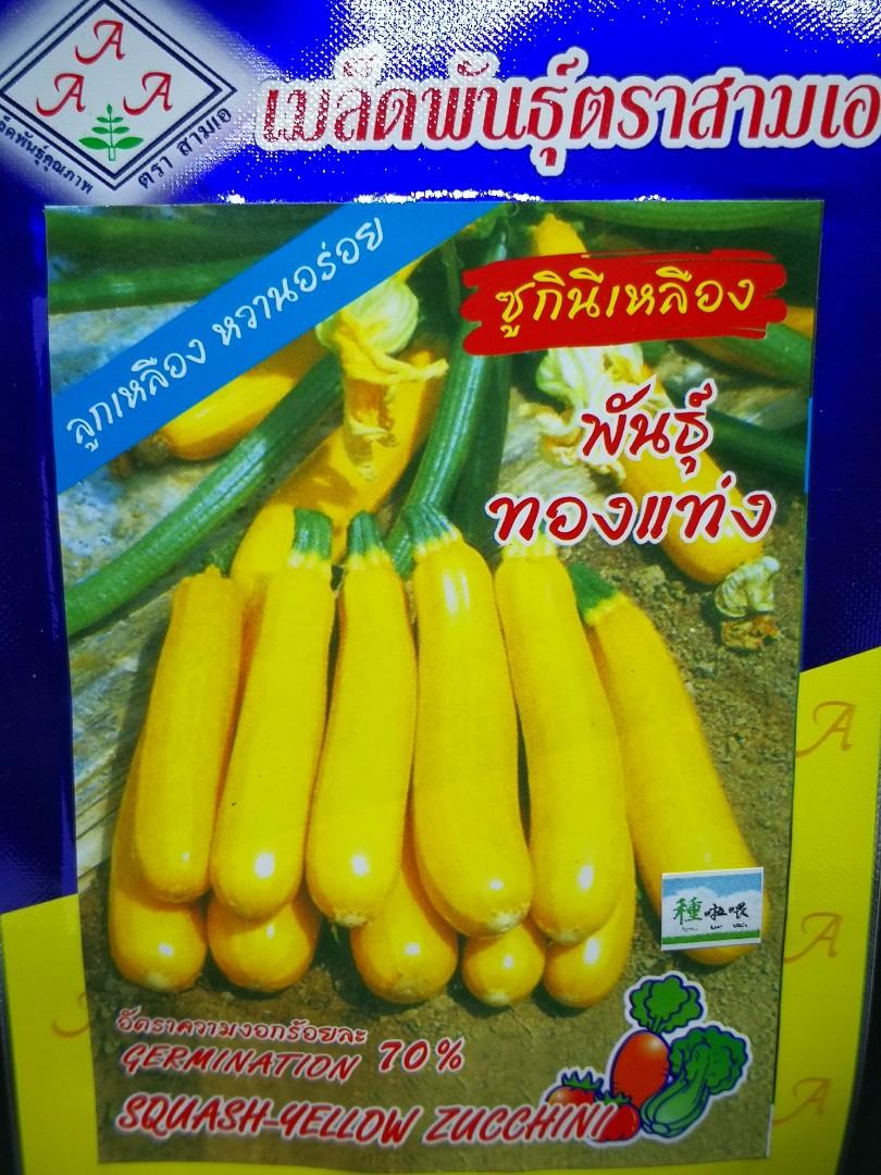 黄色青瓜種子squash Yellow Zucchini Seeds 傢俬 家居 園藝 植物及種子on Carousell