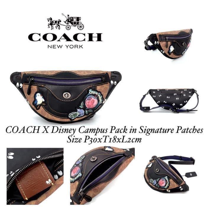 Authentic Coach x Disney Fanny Pack, Women's Fashion, Bags & Wallets,  Purses & Pouches on Carousell