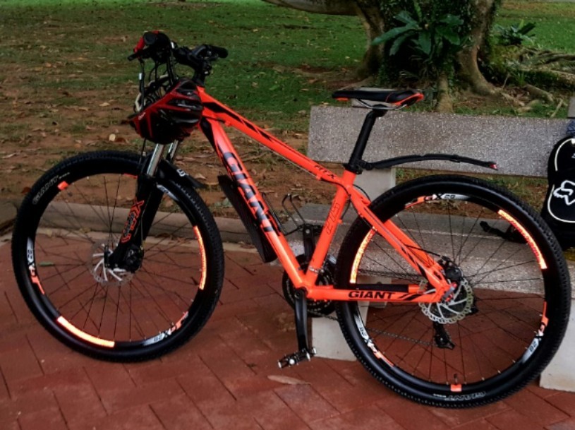 giant atx ltd