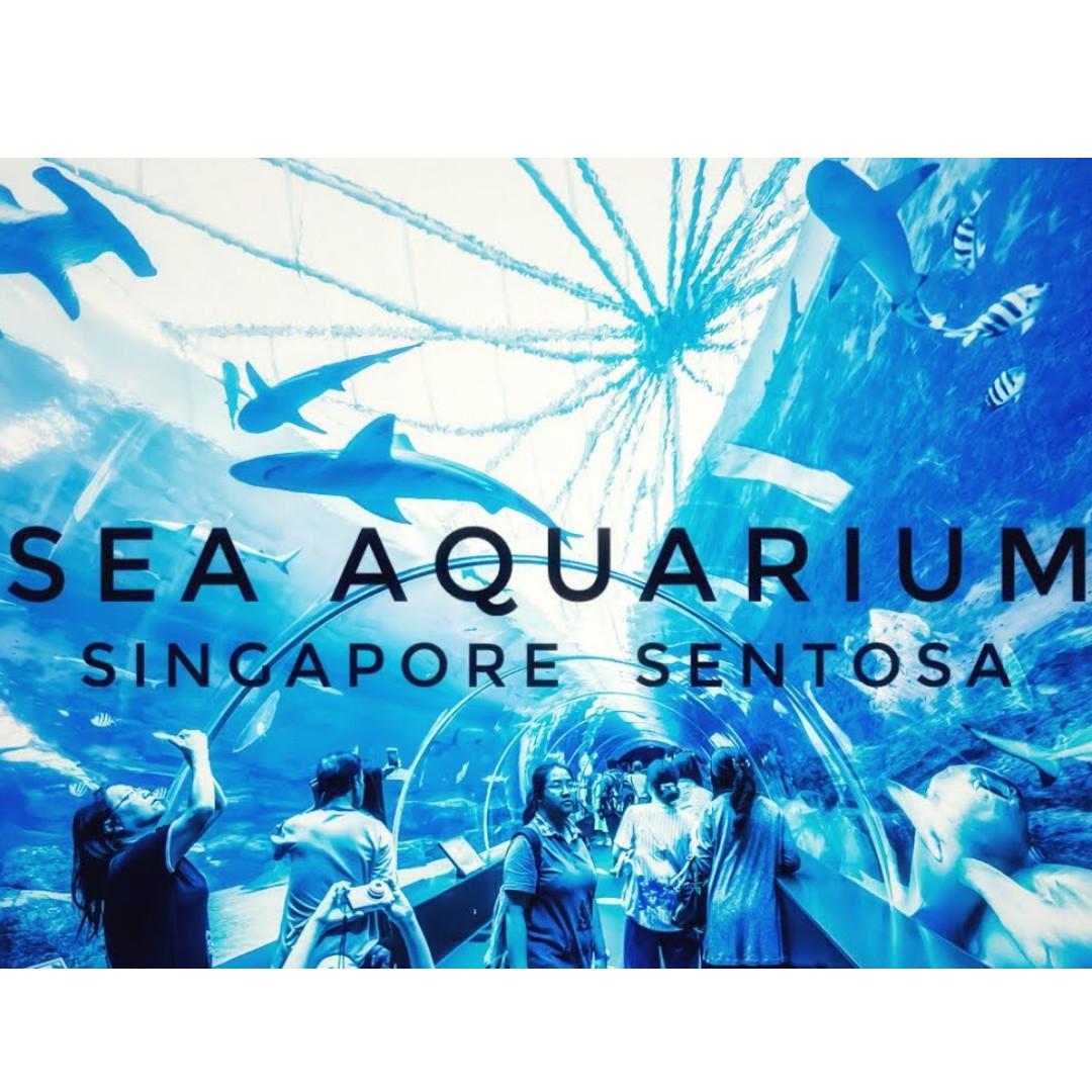 Sentosa Sea Aquarium, Tickets & Vouchers, Local Attractions & Transport ...