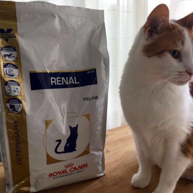 Royal Canin Prescription Renal Dry Cat Food Rf 23 Pet Supplies On Carousell