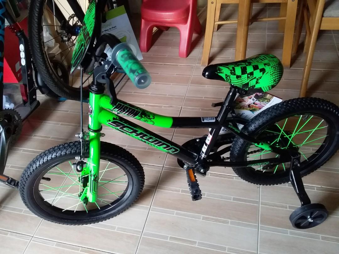 Schwinn shop smartstart 16