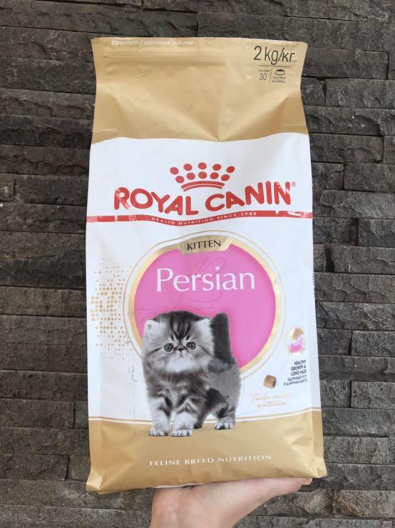 Royal Canin Kitten Persian 2kg Perlengkapan Hewan Makanan Hewan Di Carousell