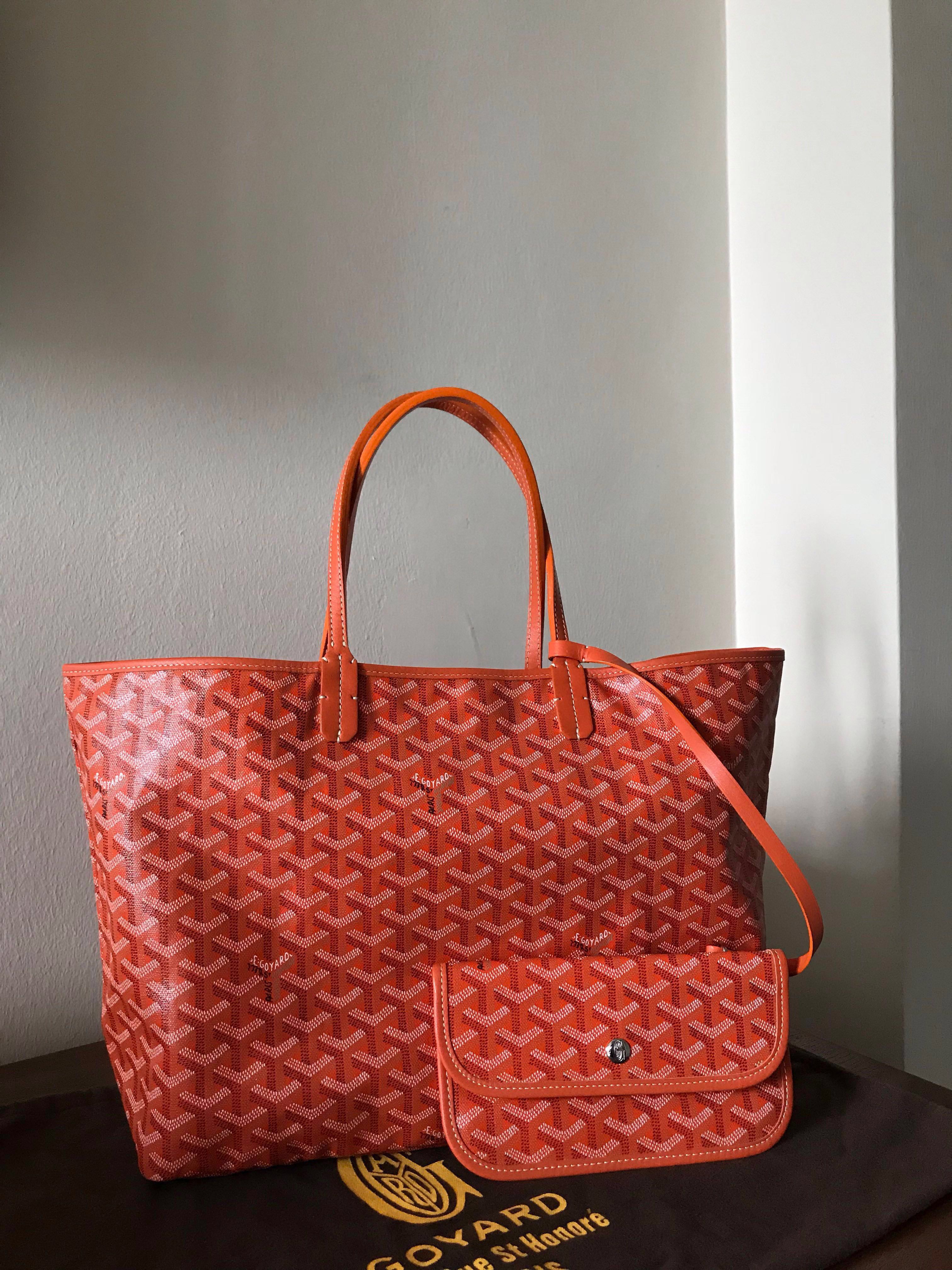 Goyard St. Louis PM Bag in Orange Colour – Luxe Marché India