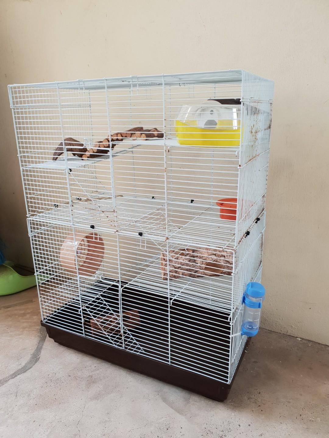 changing hamster cage