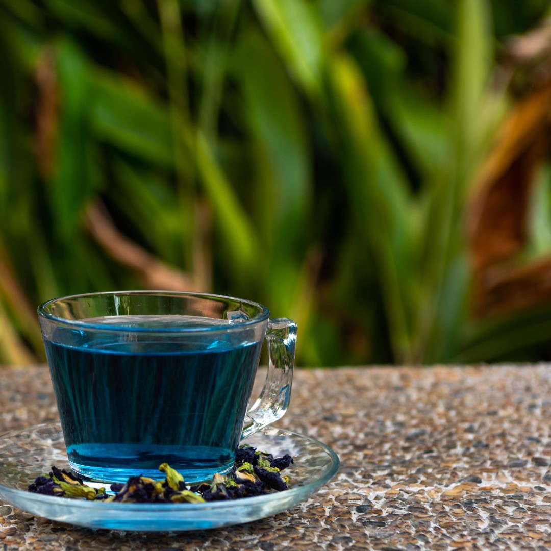 Butterfly pea flower tea, Health & Nutrition, Health Supplements