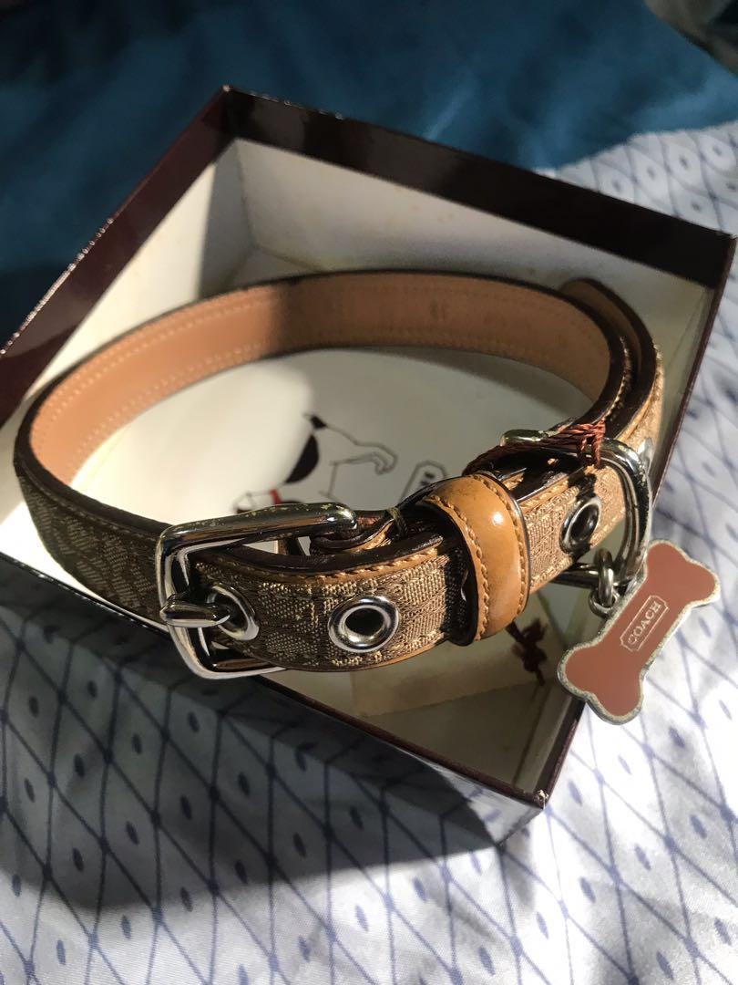 coach pet accessories