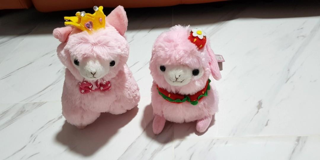 baby alpacasso