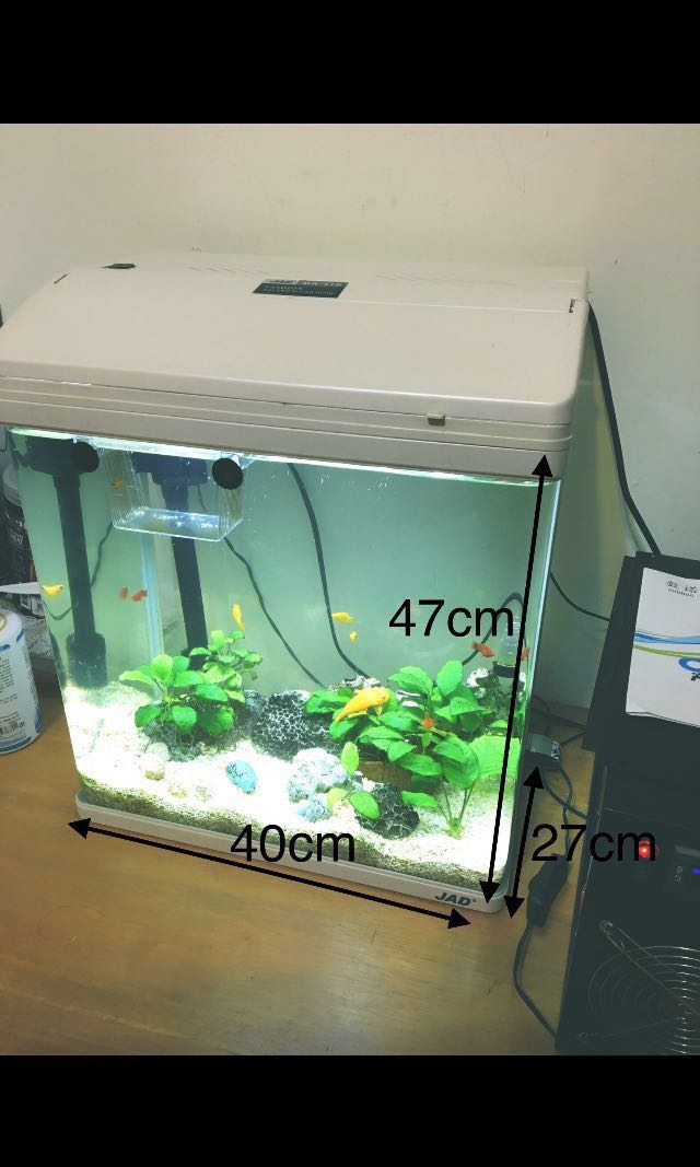Jad Mr410上部過濾 Led燈具套缸及陸製製冷機 寵物用品 寵物用品在旋轉拍賣