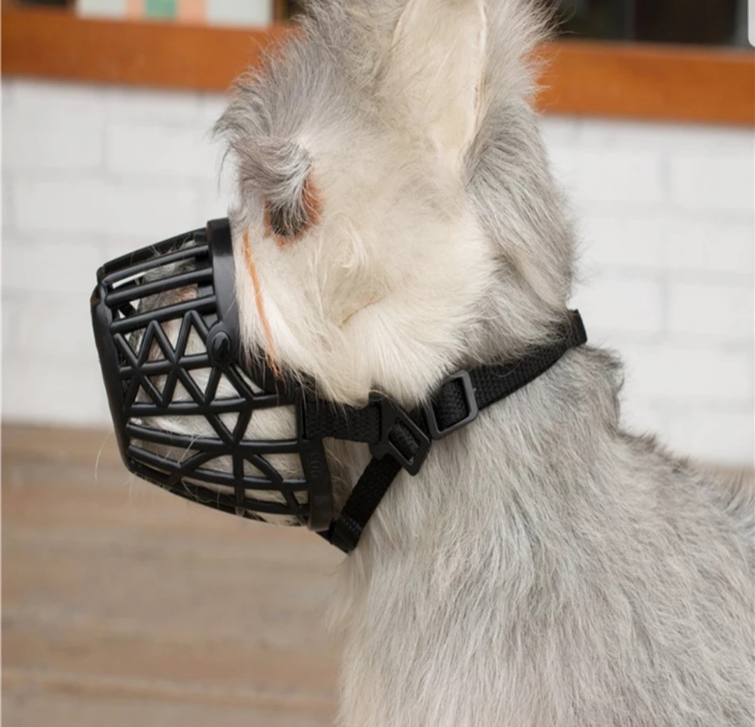 gentle muzzle guard dogs