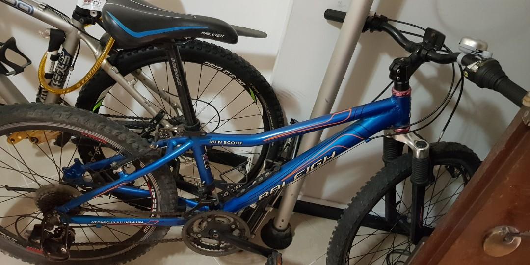 Raleigh top mountain scout