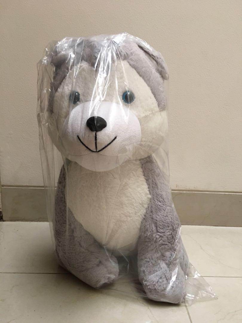 Preloved husky shop