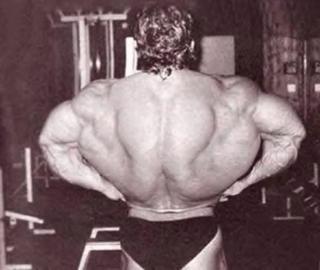 Old Days Book For Body Building Dorian Yates Sports Equipment Other Sports Equipment And Supplies On Carousell