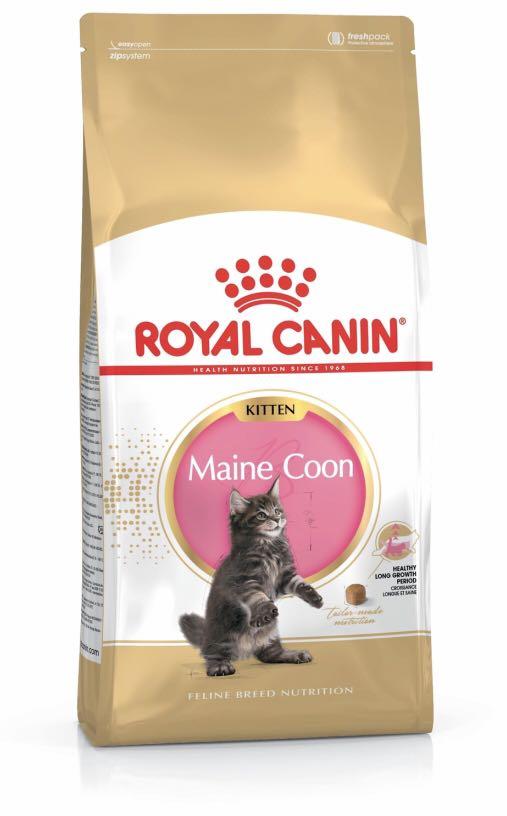 Royal Canin Maine Coon Kitten 4kg Pet Supplies For Cats Cat Food On Carousell