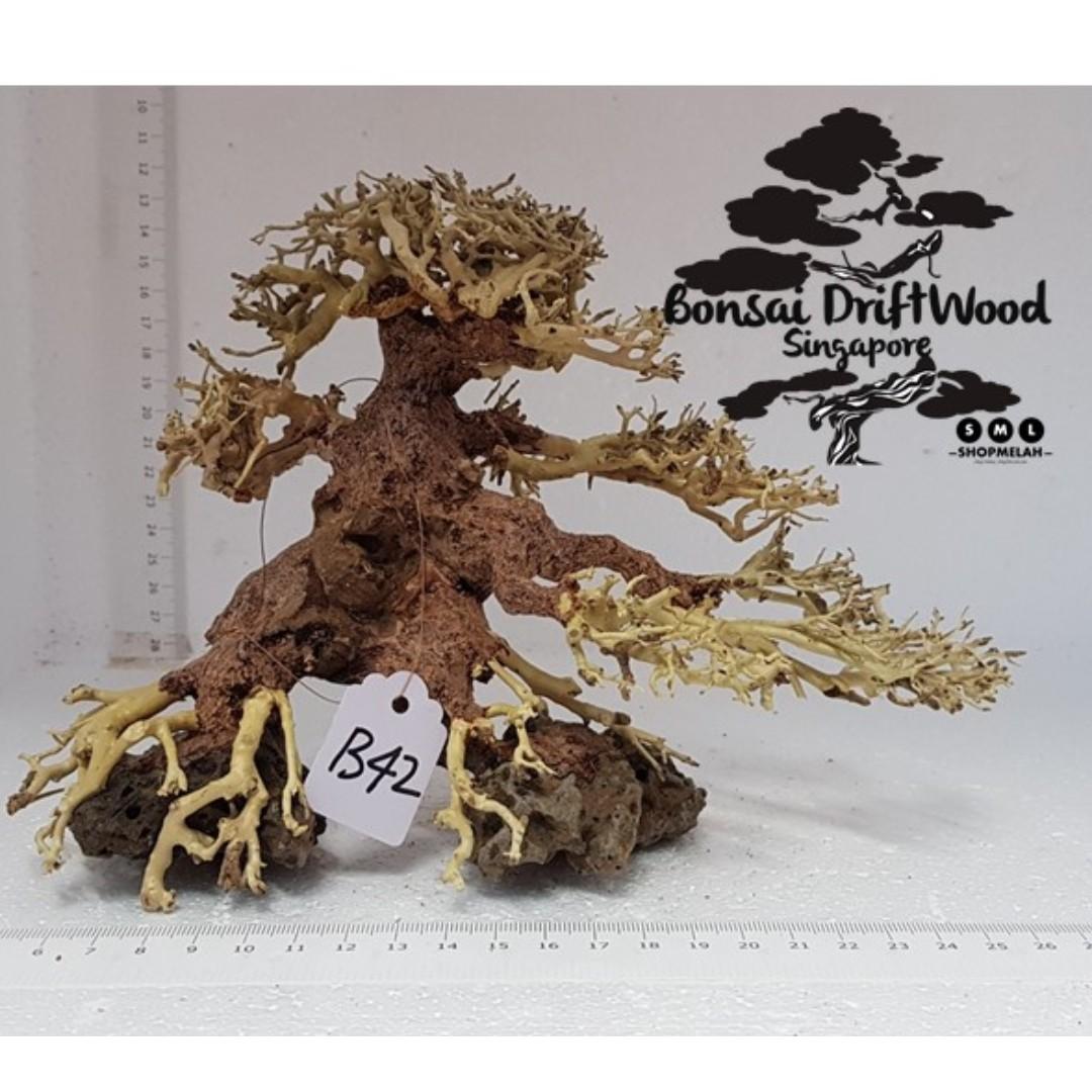 Bonsai Driftwood Tree Medium Pet Supplies For Small Animals Pet Accessories On Carousell