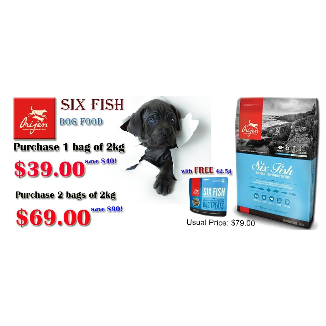 Orijen Dog 6 Fish 2kg Pet Supplies For Small Animals Pet Food On Carousell
