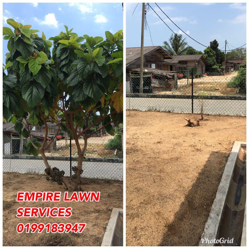 Perkhidmatan Servis Tebang Pokok Kuantan Gambang Balok Services Home Services Cleaning On Carousell