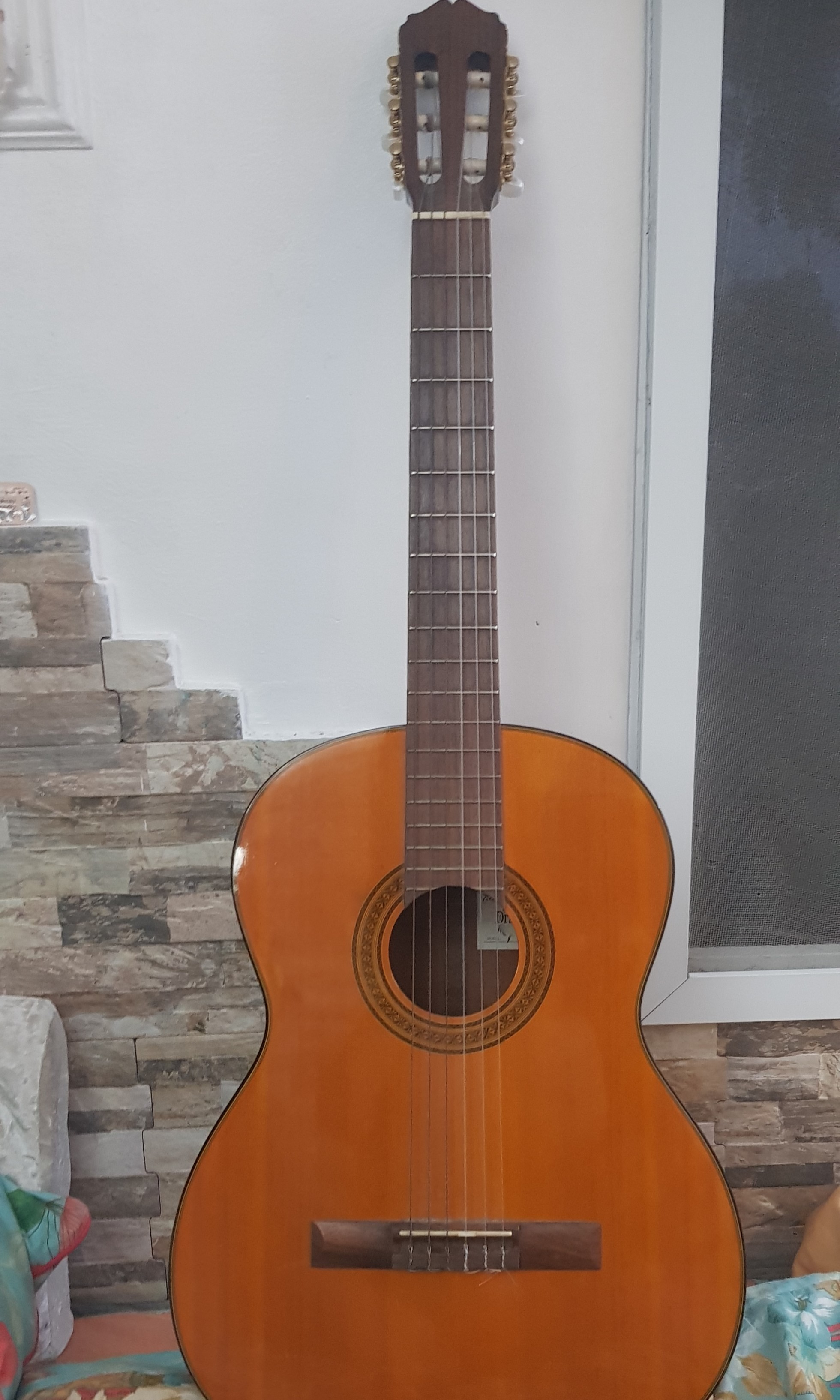 takamine d30n