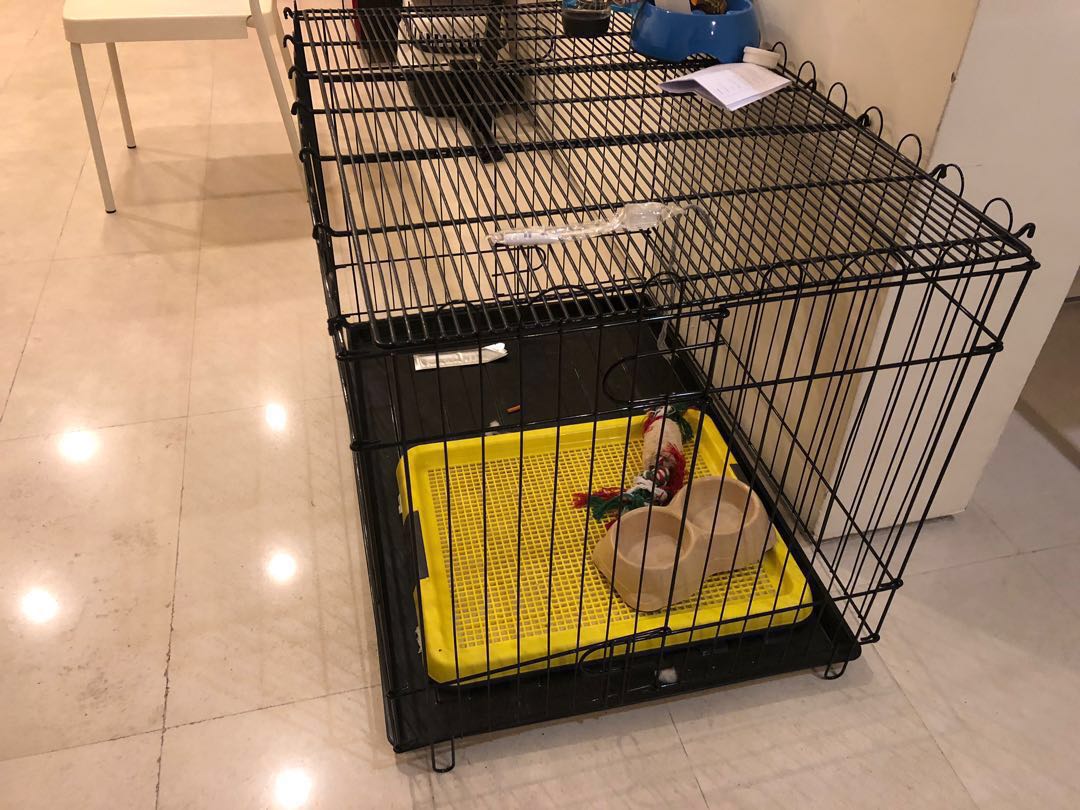 Dog crate / kennel, bottom plate and pee tray, Pet Supplies, Homes