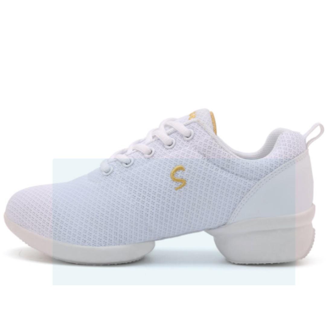 Dunvike Spring And Summer Square Dance Women s Shoes Mesh Modern