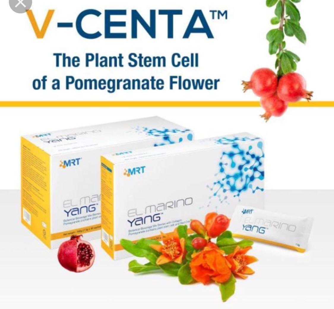 In Stock Elken Elmarino Blanc Everything Else On Carousell