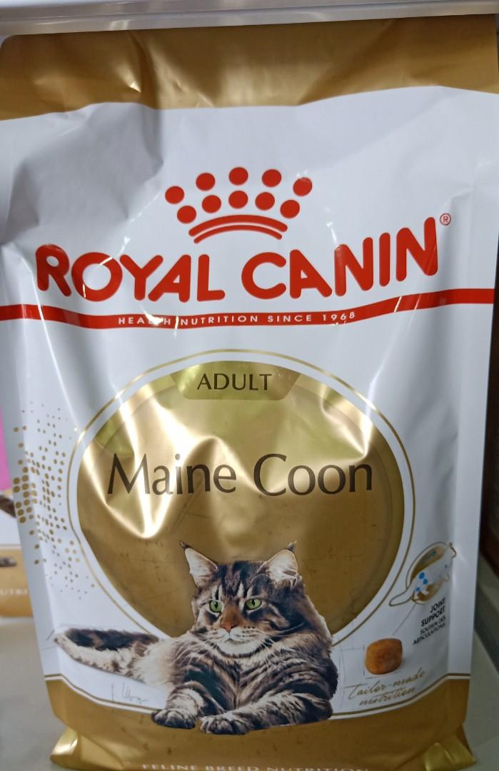 royal canin maine coon