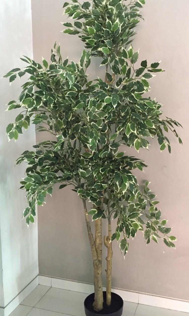 Artificial Ikea Fejka Potted Plant Furniture Home Decor Others On Carousell
