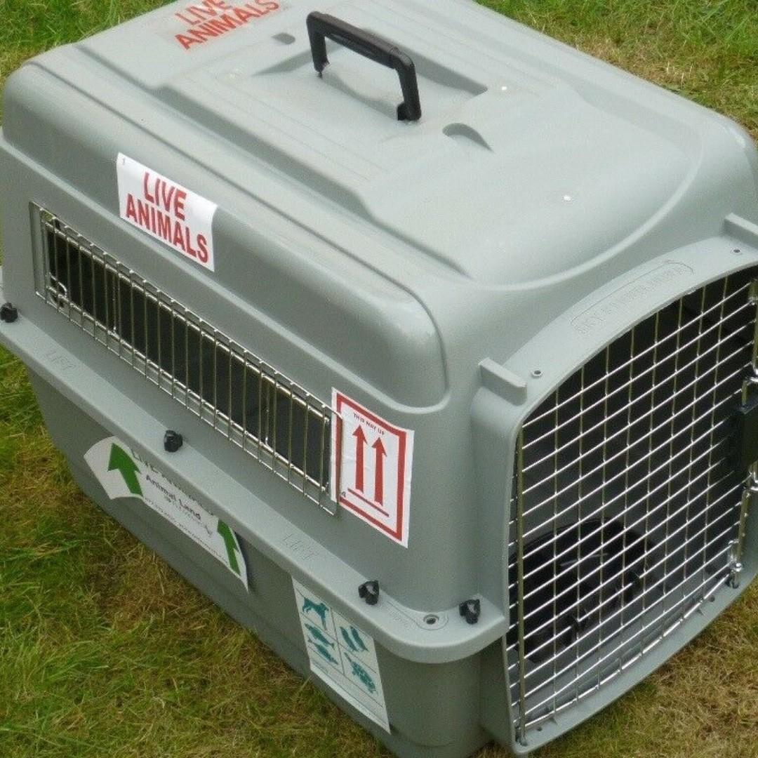 AIRLINE APPROVED Petmate Sky Kennel Ultra, Pet Supplies, Homes & Other Pet Accessories on Carousell