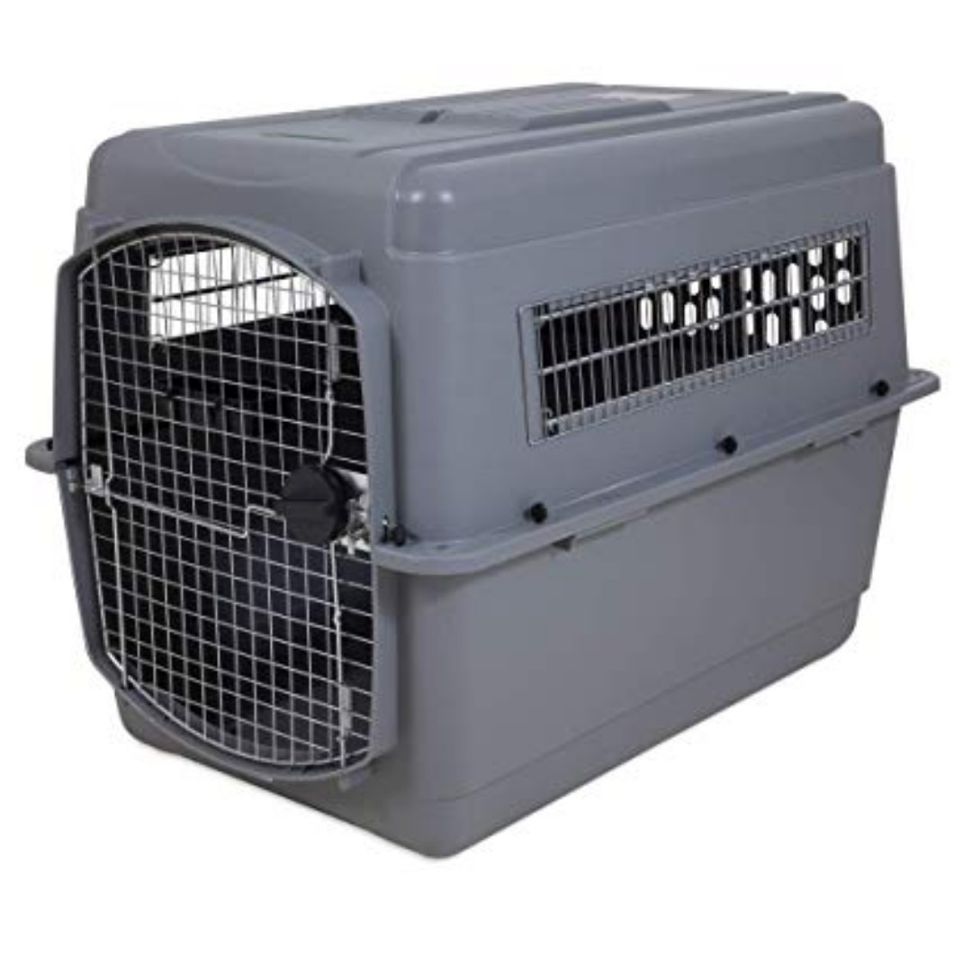 AIRLINE APPROVED Petmate Sky Kennel Ultra, Pet Supplies, Homes & Other