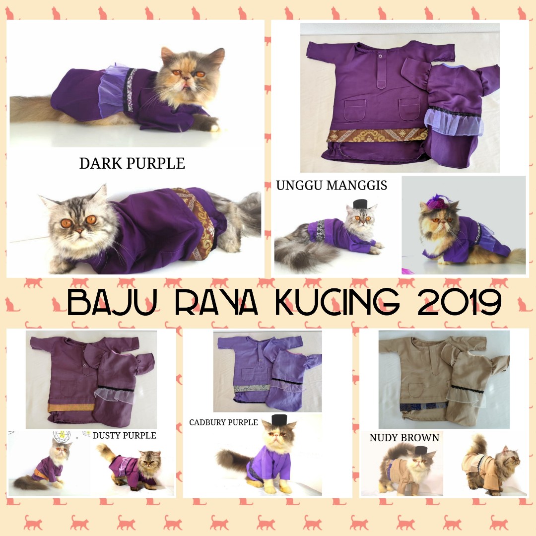 Baju Raya Kucing 2019 Pet Supplies Pet Accessories On Carousell