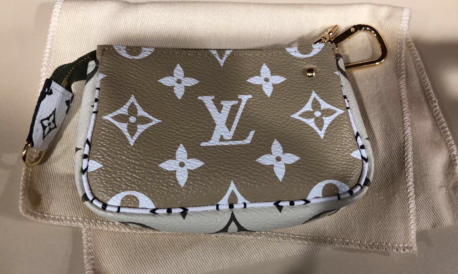 What fits in Louis Vuitton Micro Pochette Accessoires in Giant