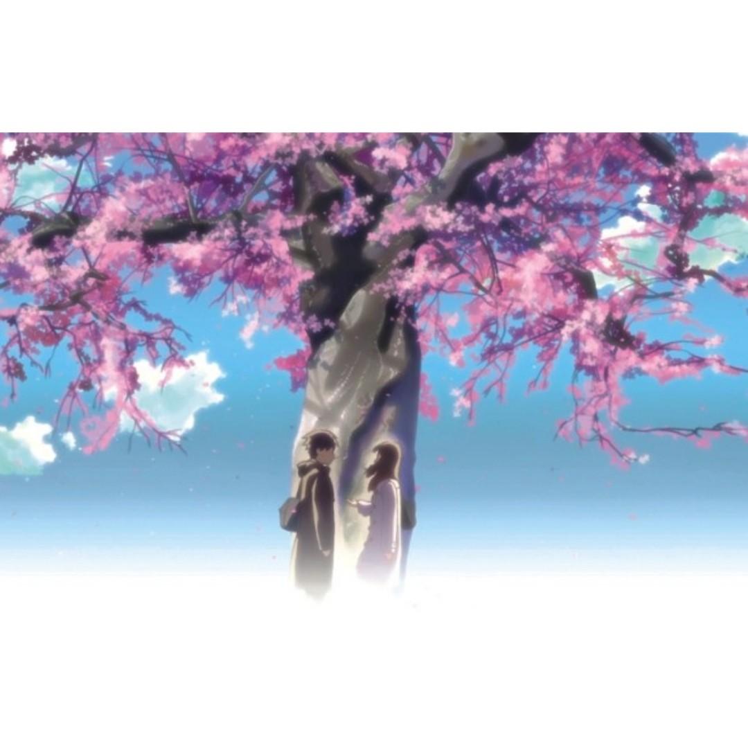 5 Centimeters Per Second Dvd Anime Subtitle Indo Barang Yang