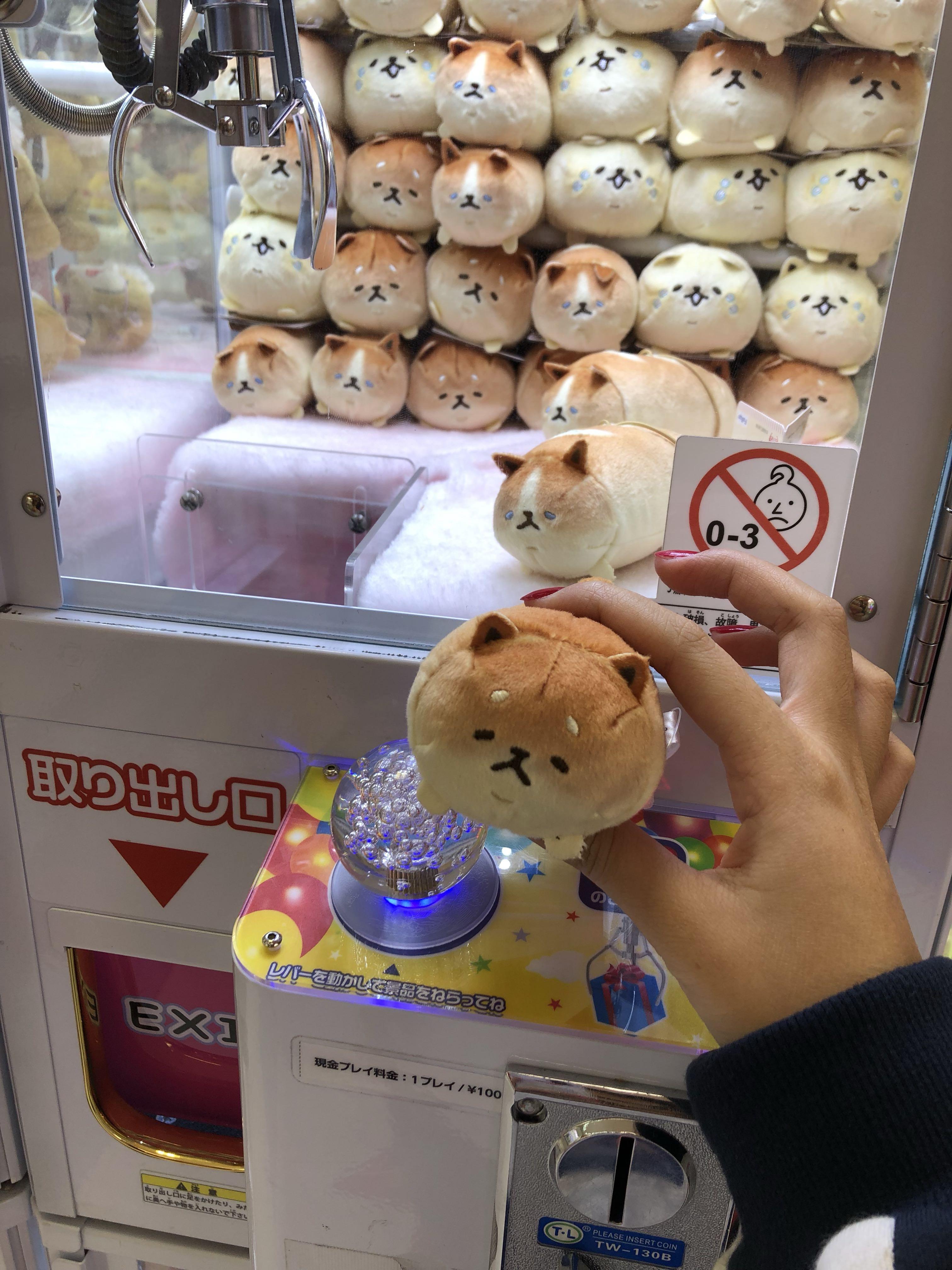 Yeast ken dog shop