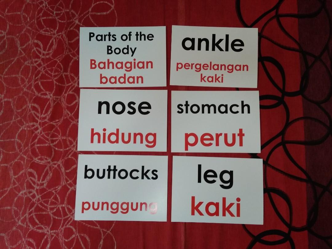 Malay And English Flashcards Parts Of The Body Books Stationery Children S Books On Carousell