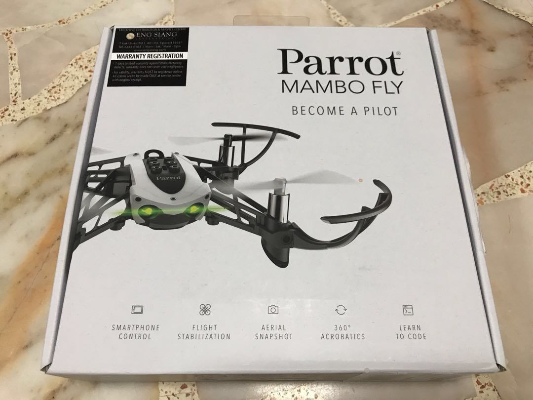Parrot mambo fly become a pilot 2025