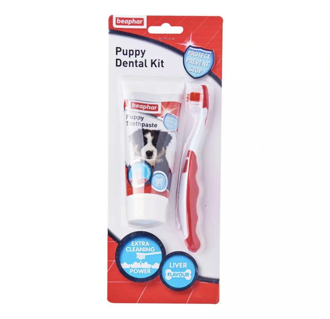 beaphar toothbrush and toothpaste kit