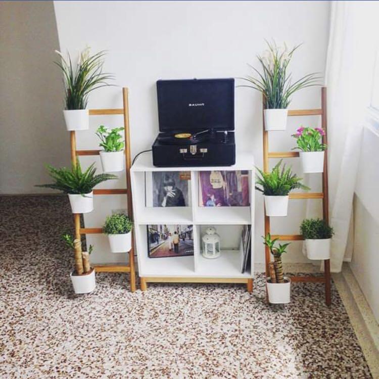 Beautiful Interior Greenery Wooden Ladders Furniture Home Decor