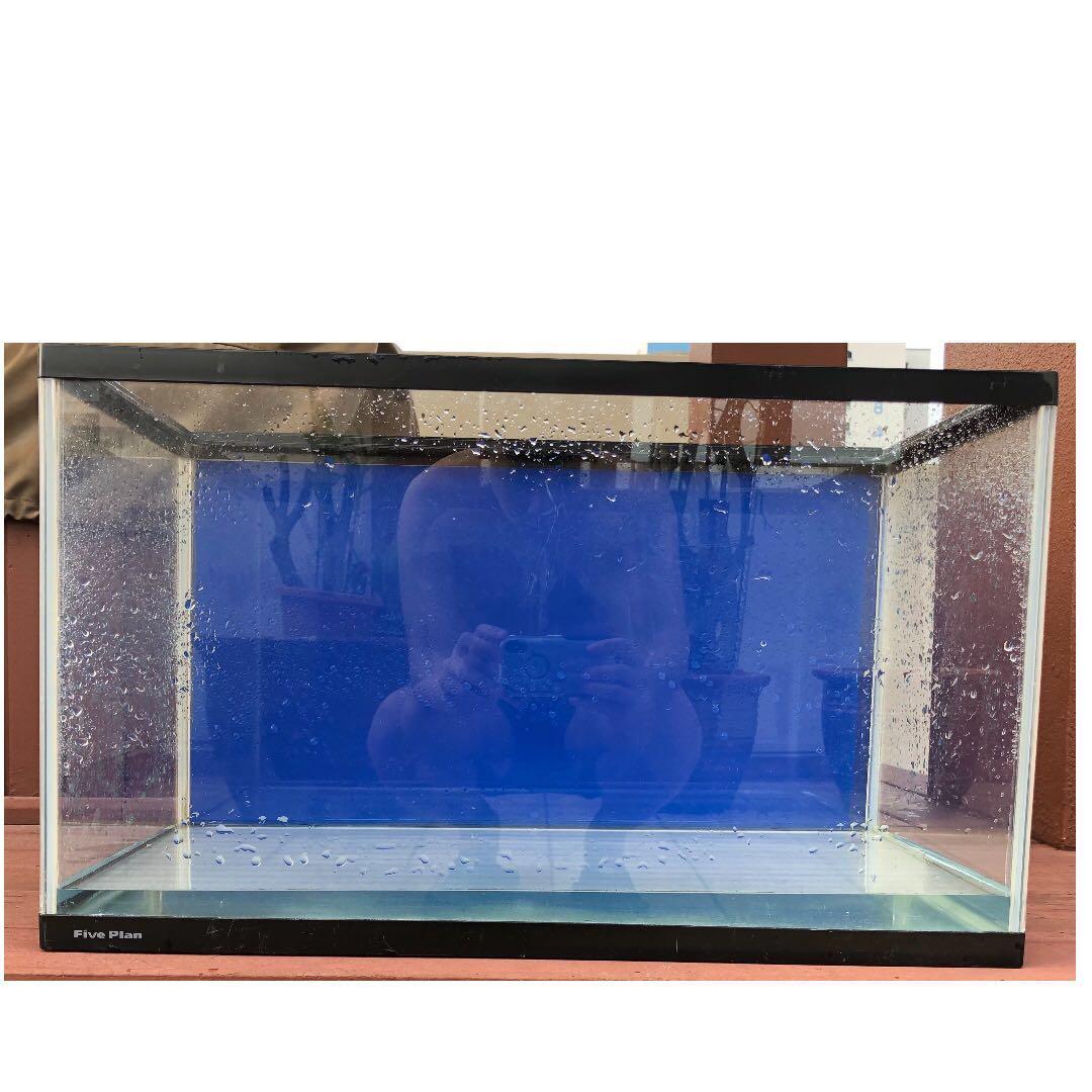 Fish Tank, Pet Supplies, Homes & Other Pet Accessories on Carousell