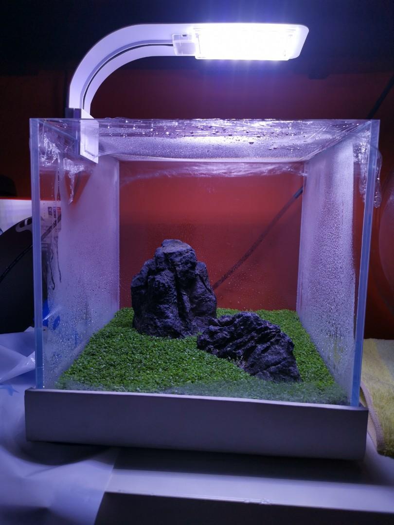 aquascape aquarium supplies
