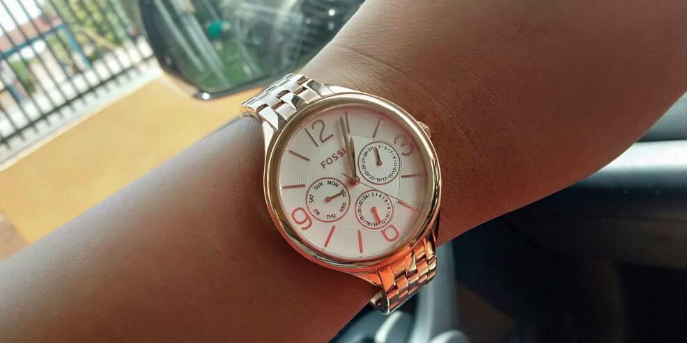 Original fossil BQ3127