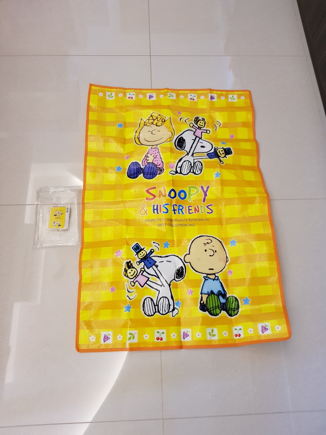 Snoopy picnic mat, Everything Else on Carousell