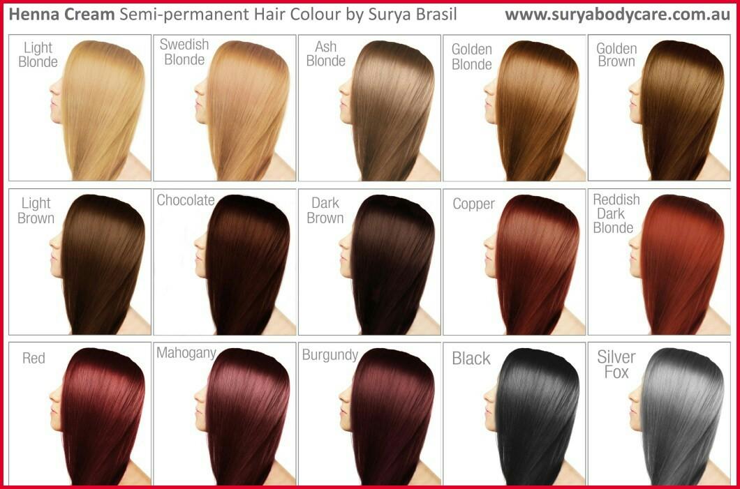 Ash Hair Dye Colour Chart