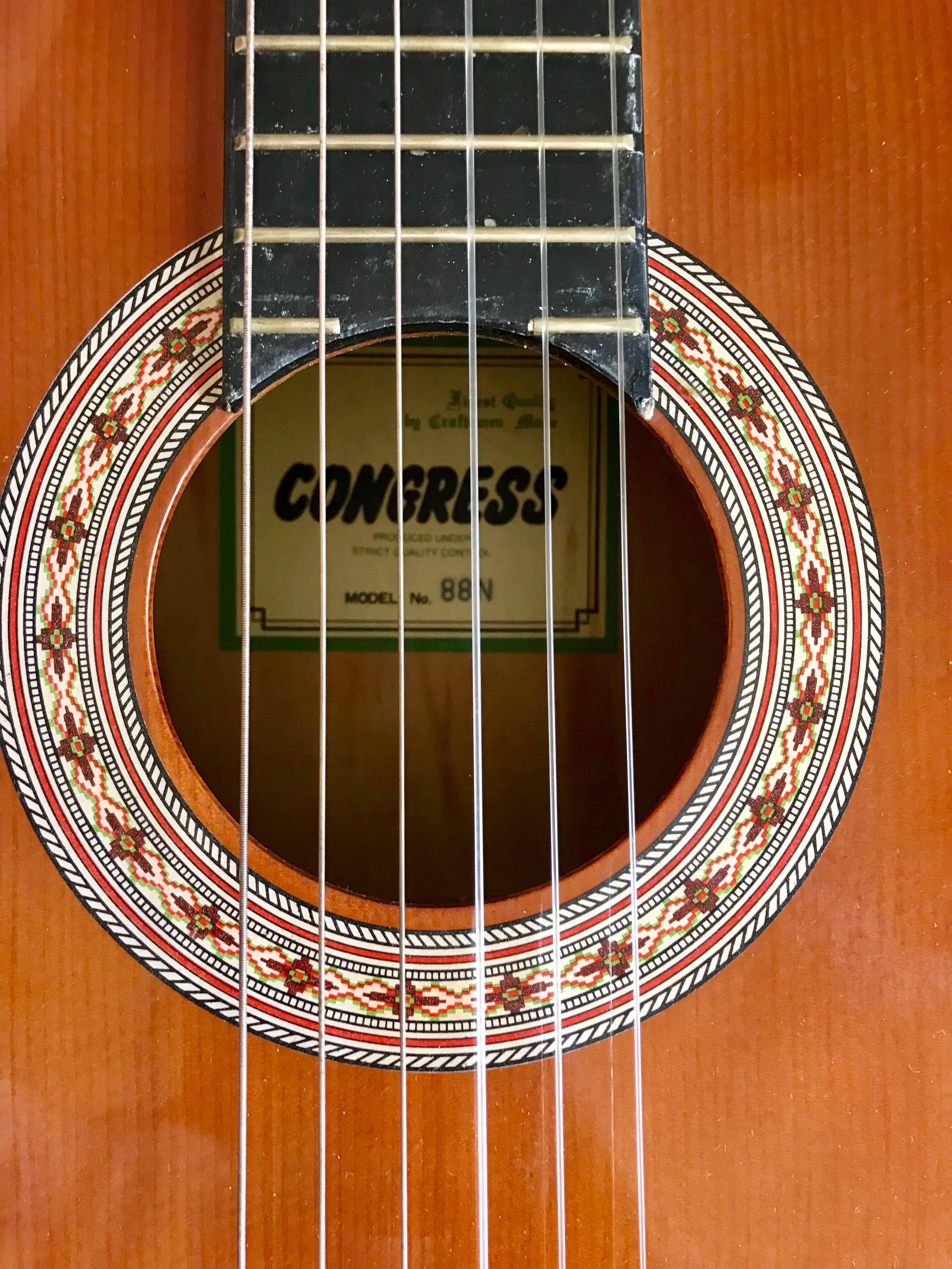 Congress guitar shop brand