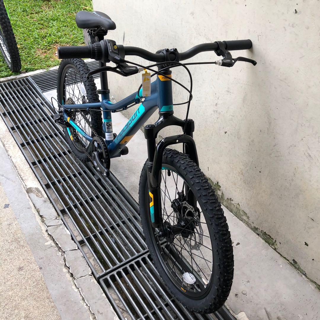 polygon 20 inch bike