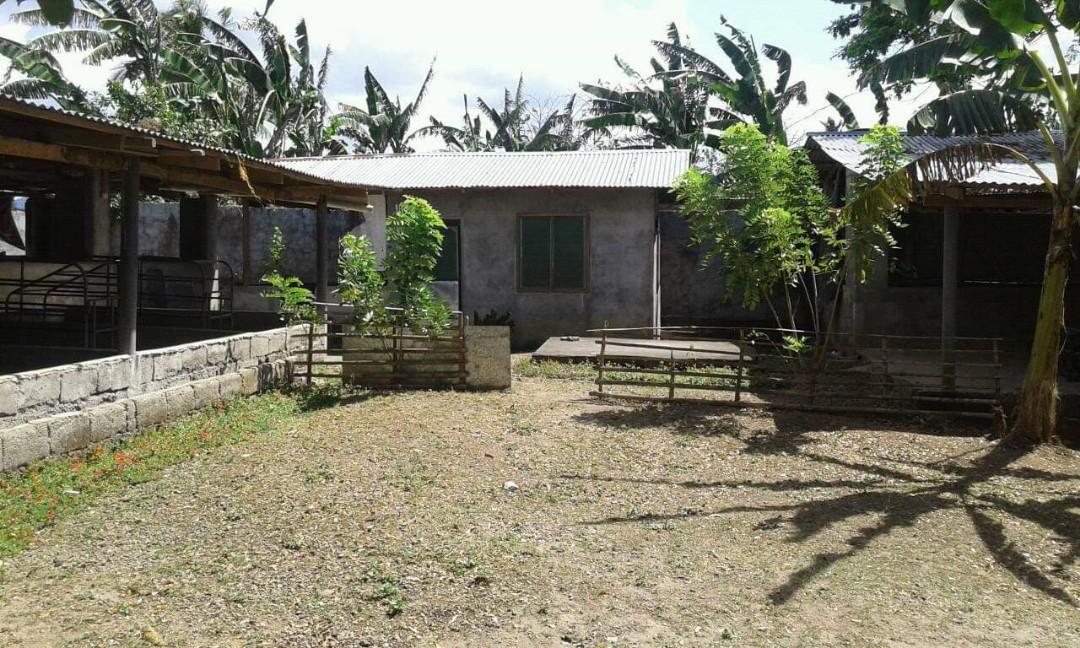 Piggery farm lot Lipa, Batangas (Category: Community) located in Cainta. Submitted by windrea (Listing ID 222560302, Image 2). Description: For sale Piggery farm lot Located at Lipa, Batangas Can start and operate Piggery immediately farm is backyard Piggery na medium size mga 30 fattener and 20 inahin kasya. Clean title Negotiate Direct buyers to owner only For interested will send details for inquiry RFS: Stop operation, owner is based in Metro