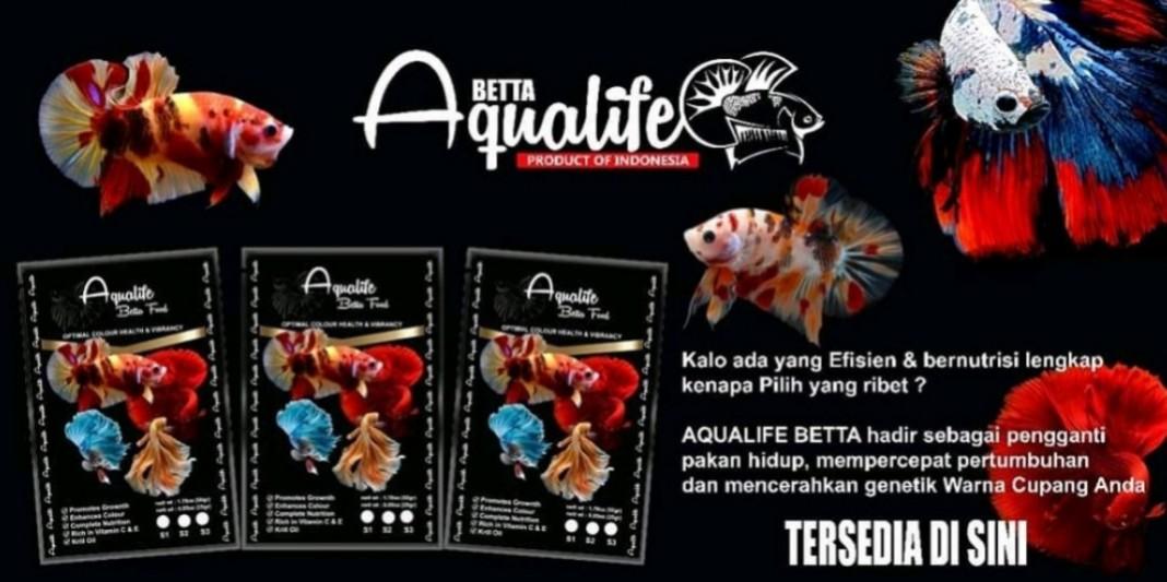 Aqualite shop betta food