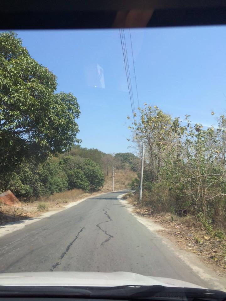 MANGO FARM In Pangasinan, Property, For Sale on Carousell