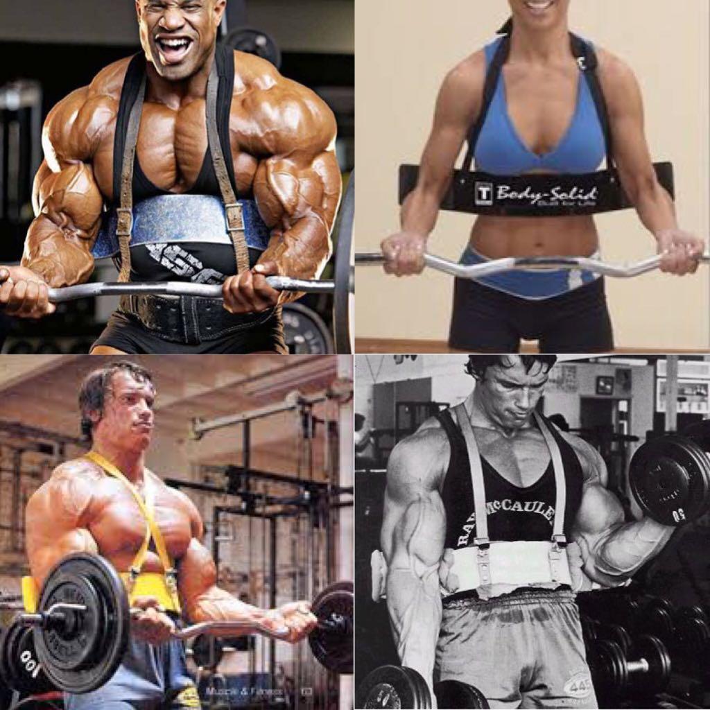 Body solid online arm blaster