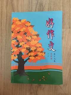 Chinese Composition Book!