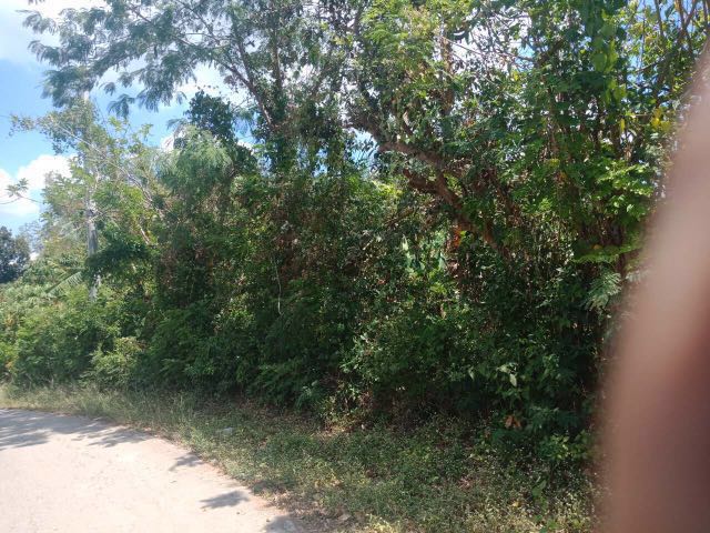 (Category: ) located in . Submitted by property_ph (Listing ID 218050183, Image 1). Description: .